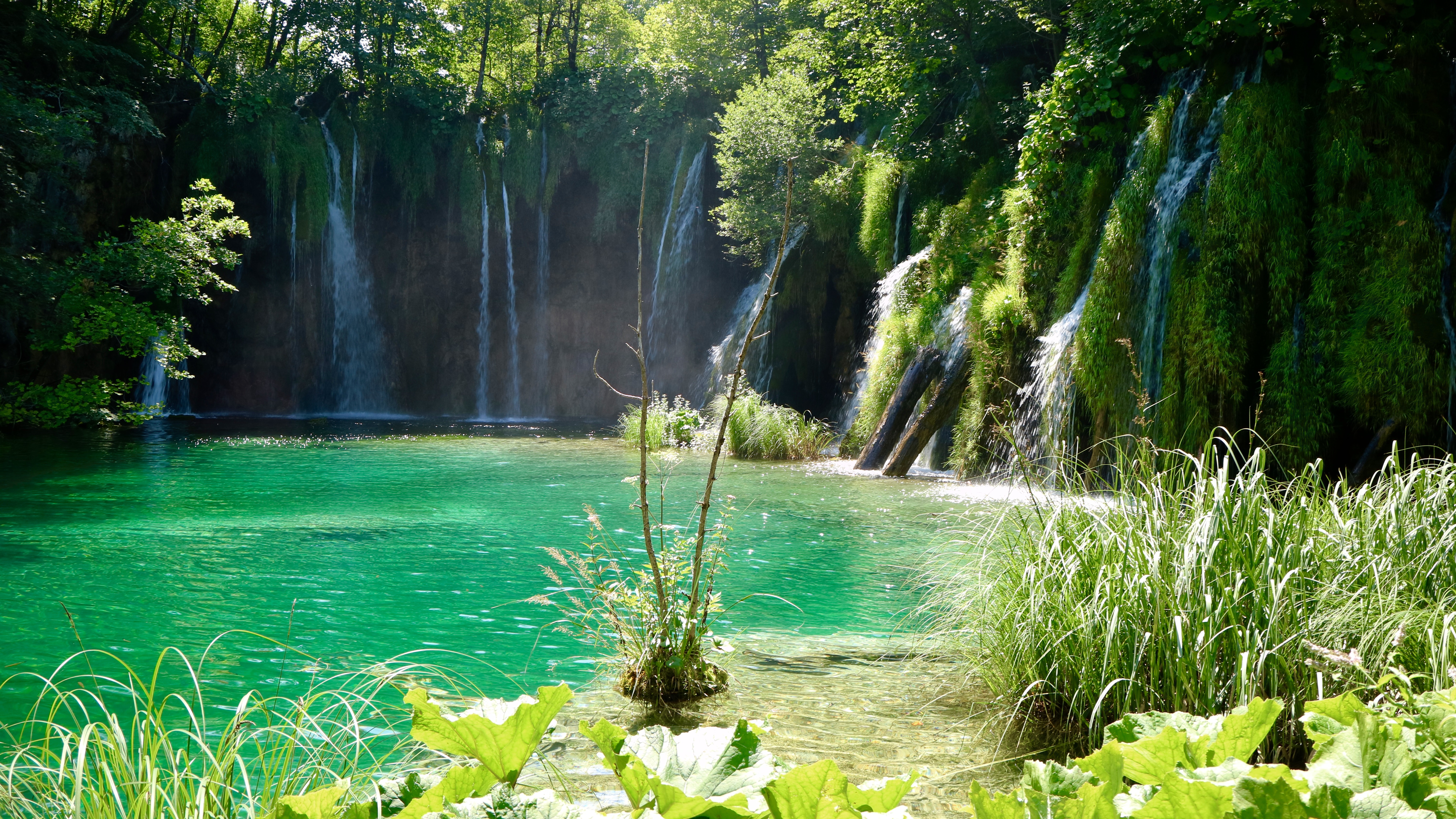 20150801_122934050_iOS