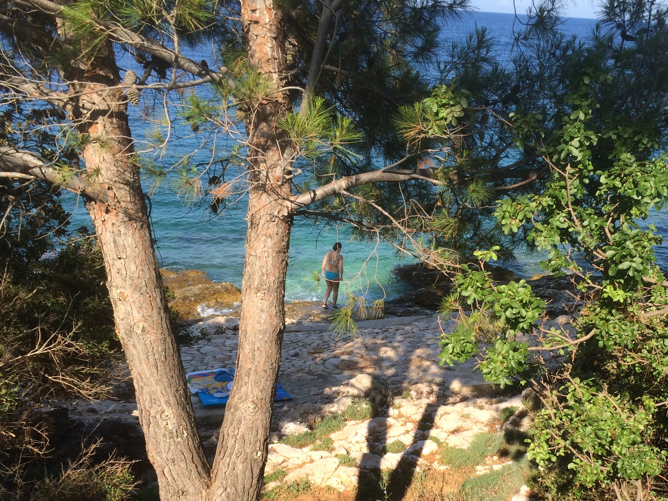 20140629_063040147_ios