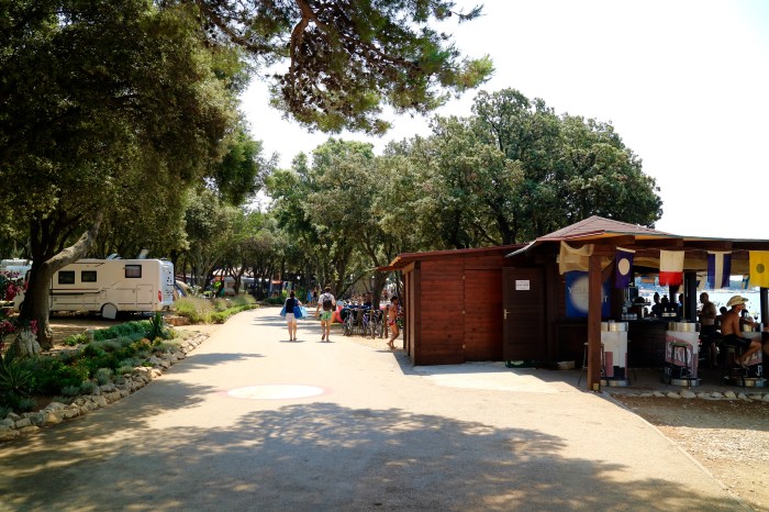 20150723_094609610_ios