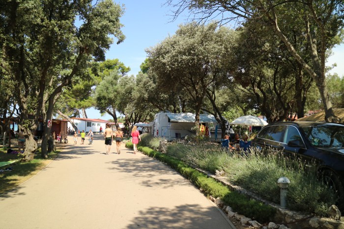 20150726_090326630_ios