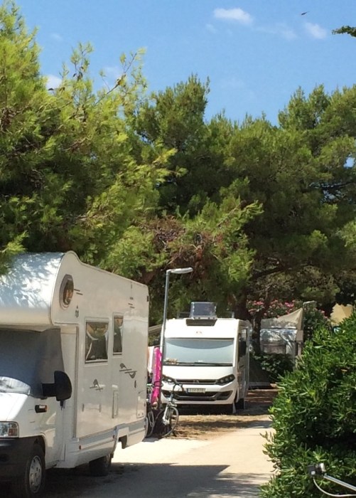 20150728_100555645_ios