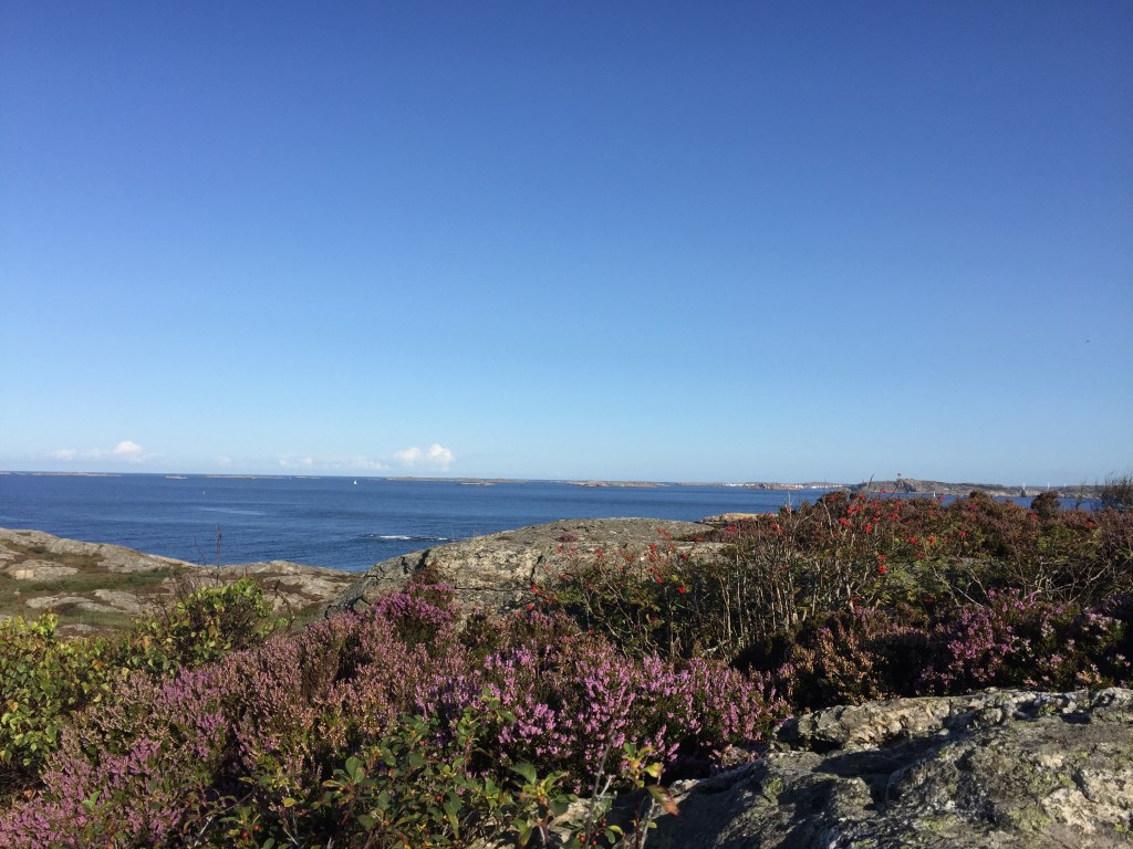 Plötsligt händer det!