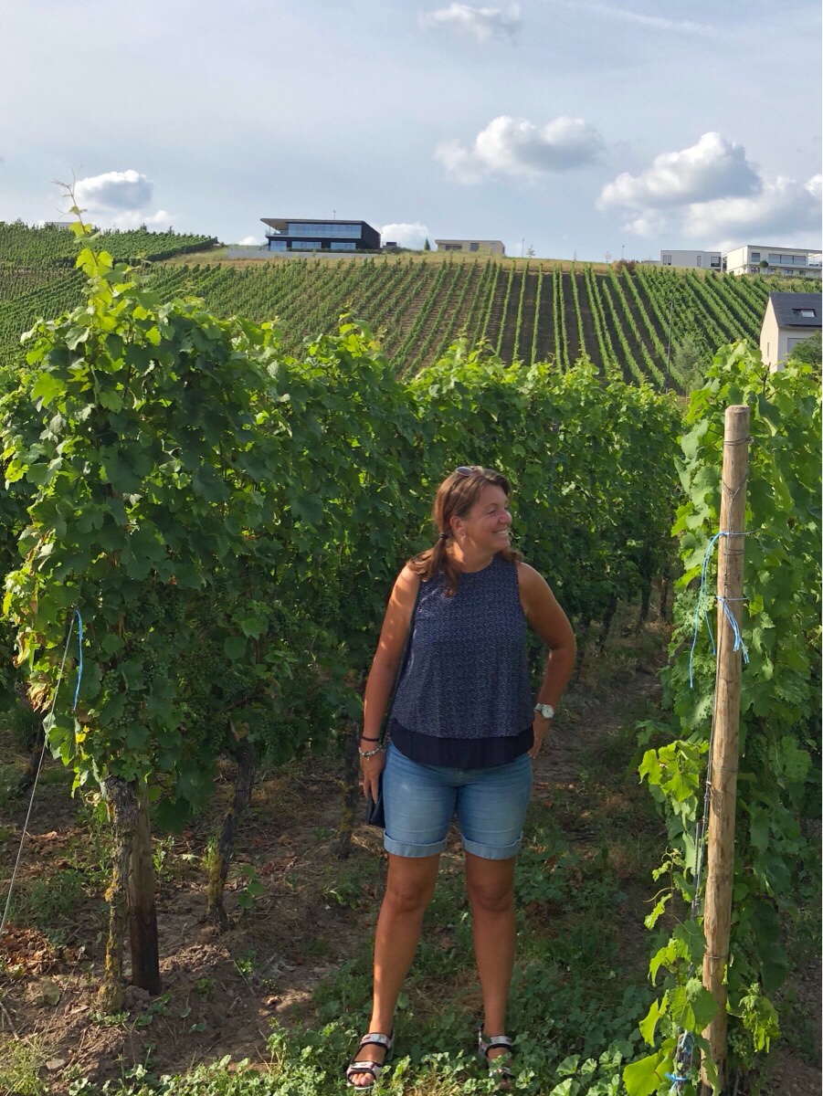 Utan cyklar i&nbsp;Mosel