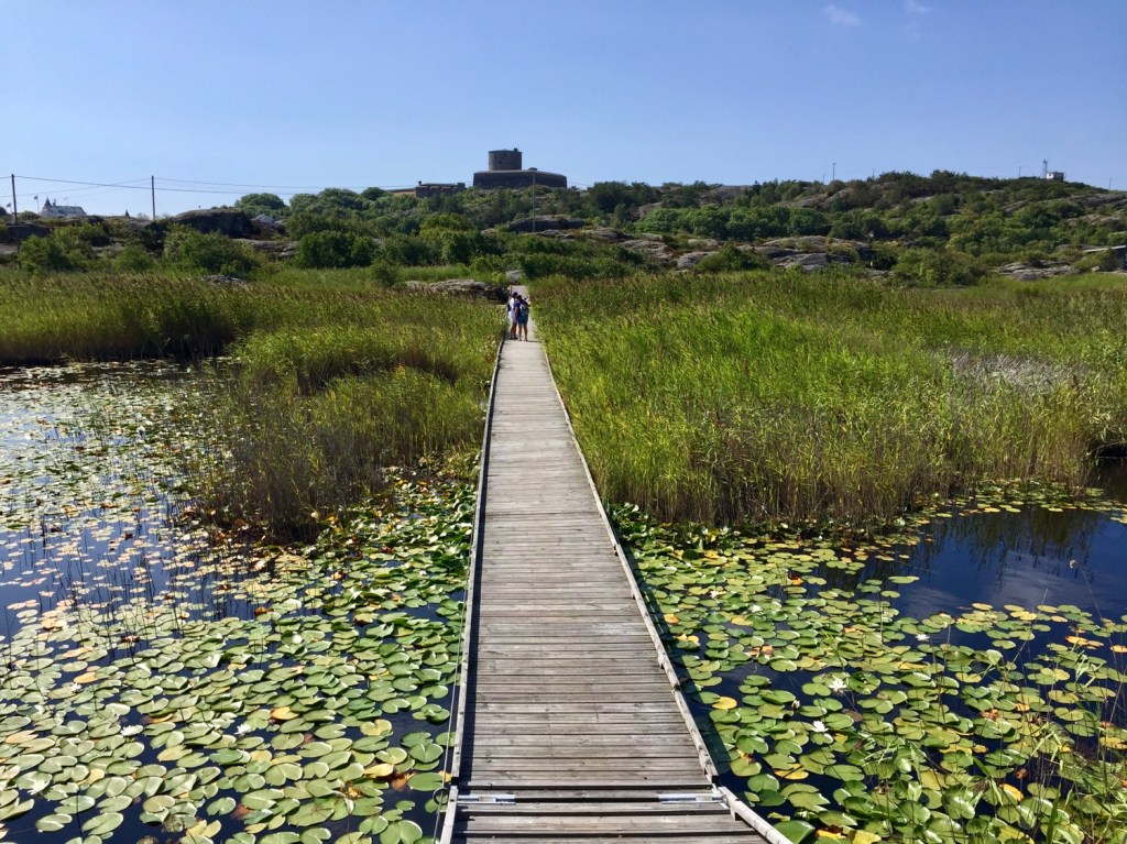 Härlig Marstrandshelg och ny&nbsp;familjemedlem