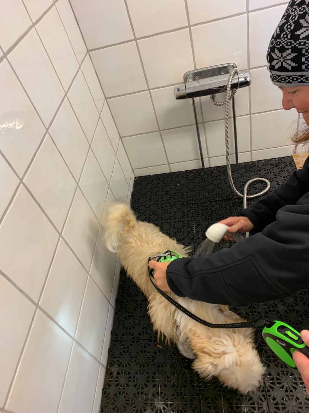 Vi testar hundduschen i&nbsp;Apelviken