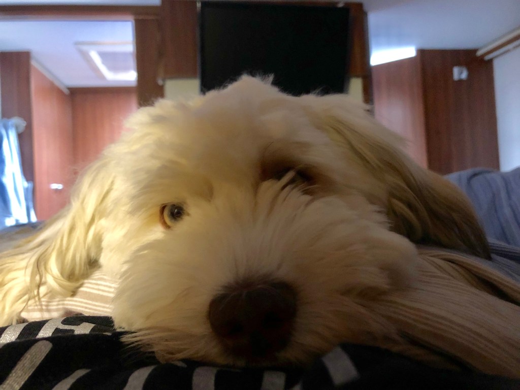 En natt e för&nbsp;kort!!