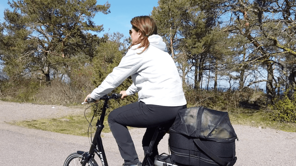 Långe Erik på Ölands norra&nbsp;udde