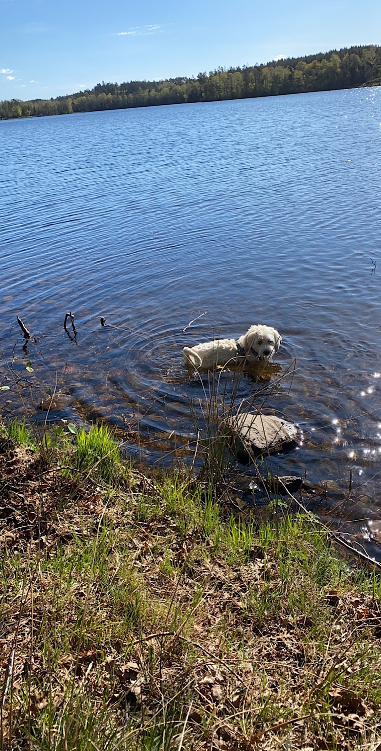 Bexellsstigen och skolmuseum