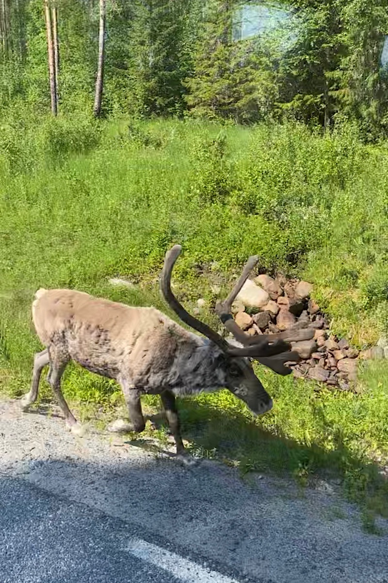 Varning för väg&nbsp;90!