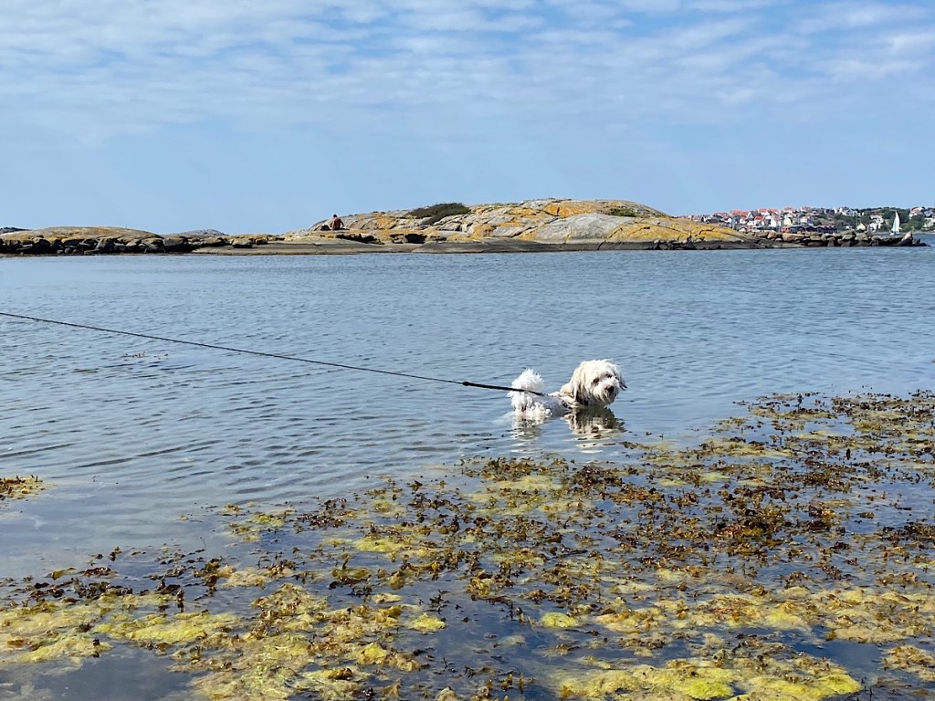 En lillsemester till&nbsp;Björkö