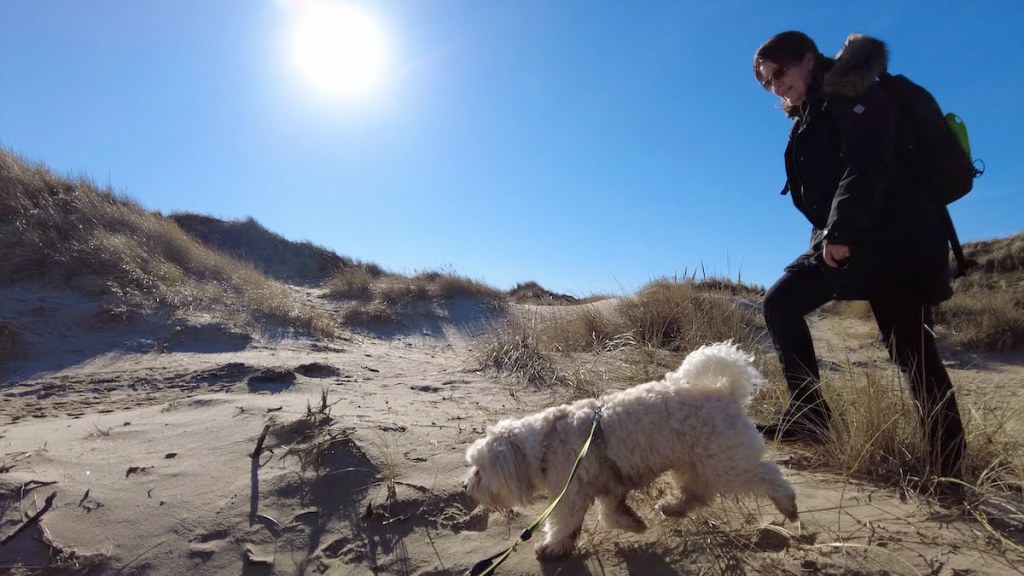 Vi stannade kvar i&nbsp;Haverdal