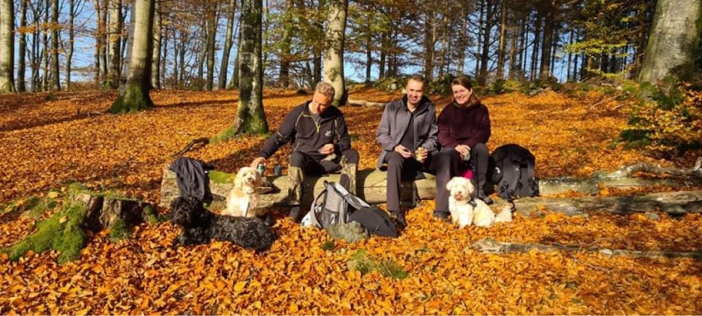 Glöggbubbelprovning i Förslöv